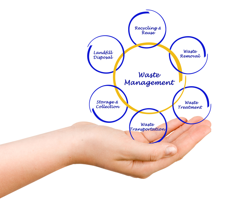 Resourceful Ways to Transform Discarded Materials into Conversation Starters